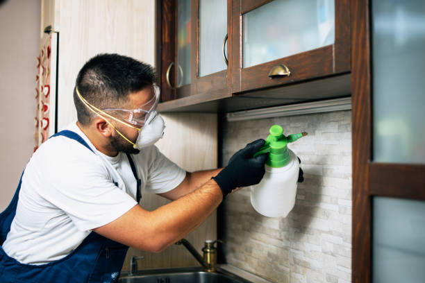 Best Flea Control Services  in Eagle Lake, WI