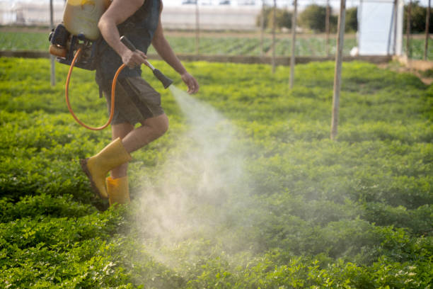 Best Affordable Pest Control Services  in Eagle Lake, WI